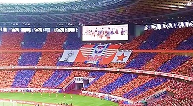 ルヴァンカップ🎉決勝⚽負けたけど最高の感動!